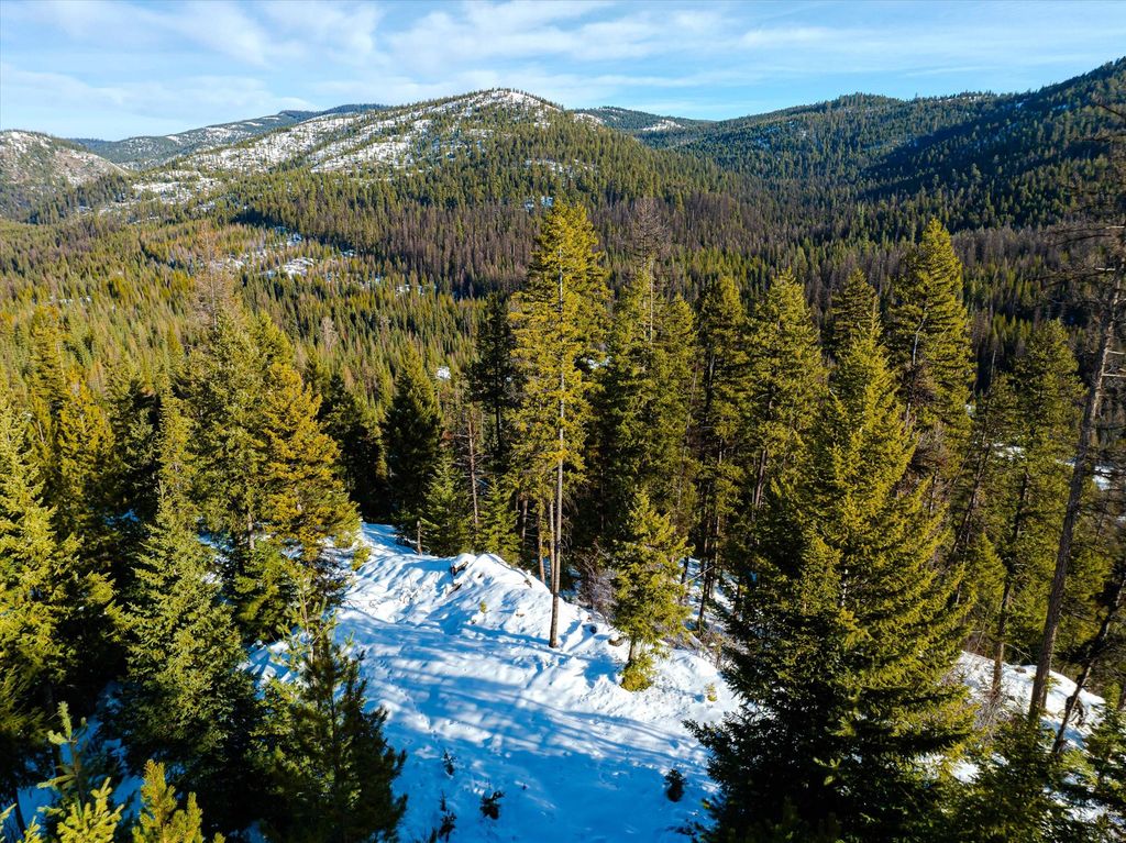 NHN McGinnis Meadows - Fishtrap Road Section 9, Libby, MT 59923 photo 19