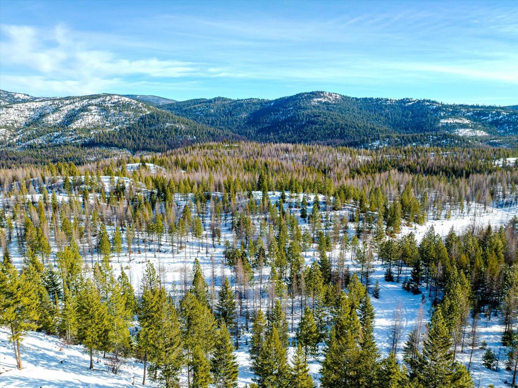NHN McGinnis Meadows - Fishtrap Road Section 9, Libby, MT 59923 photo 2