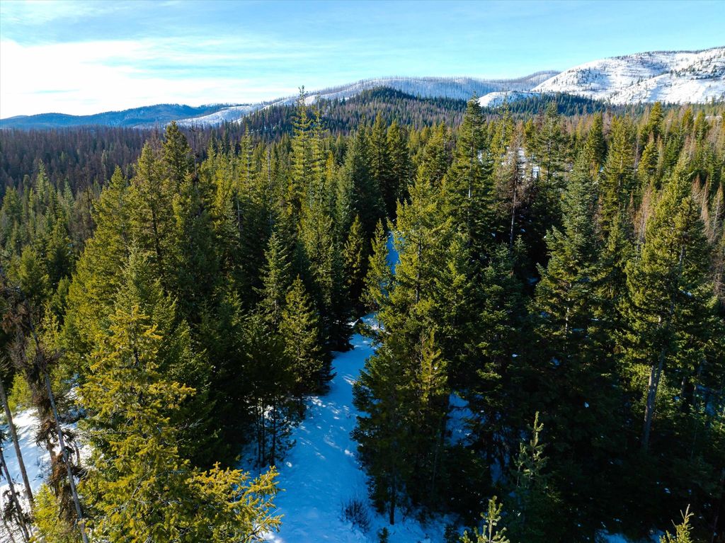 NHN McGinnis Meadows - Fishtrap Road Section 9, Libby, MT 59923 photo 20