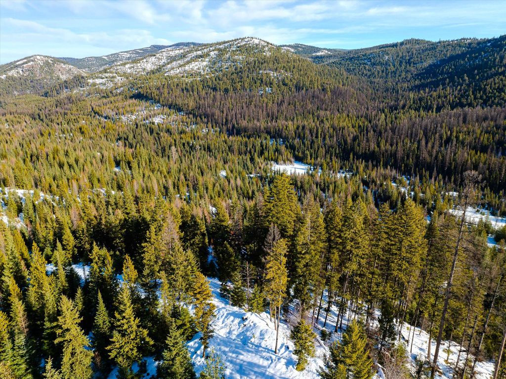 NHN McGinnis Meadows - Fishtrap Road Section 9, Libby, MT 59923 photo 21