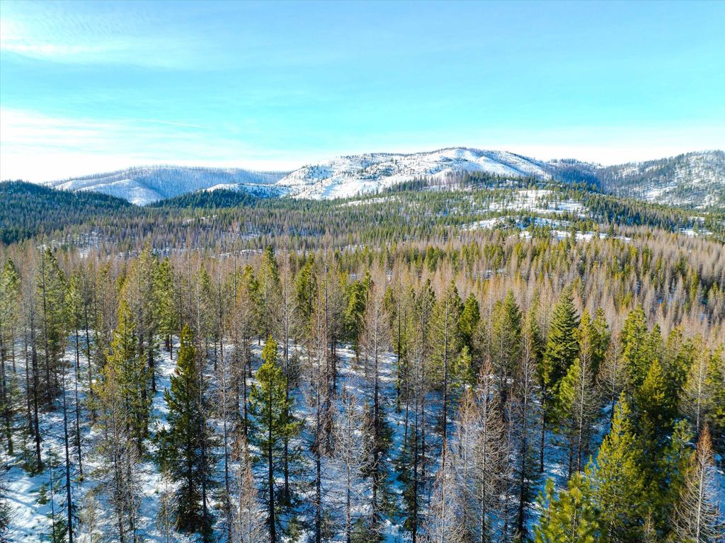NHN McGinnis Meadows - Fishtrap Road Section 9, Libby, MT 59923 photo 24