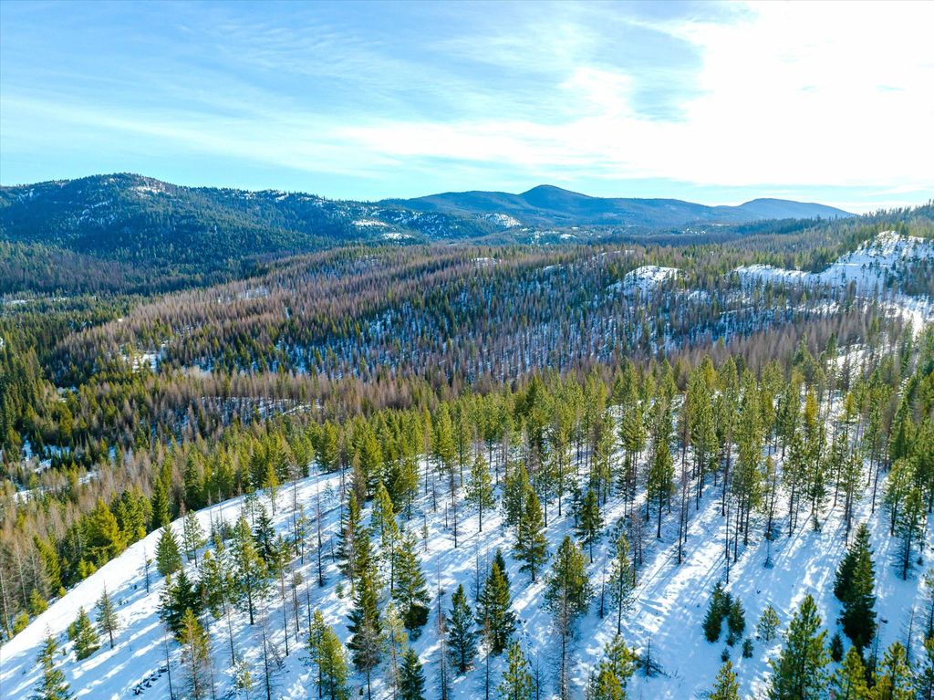 NHN McGinnis Meadows - Fishtrap Road Section 9, Libby, MT 59923 photo 36