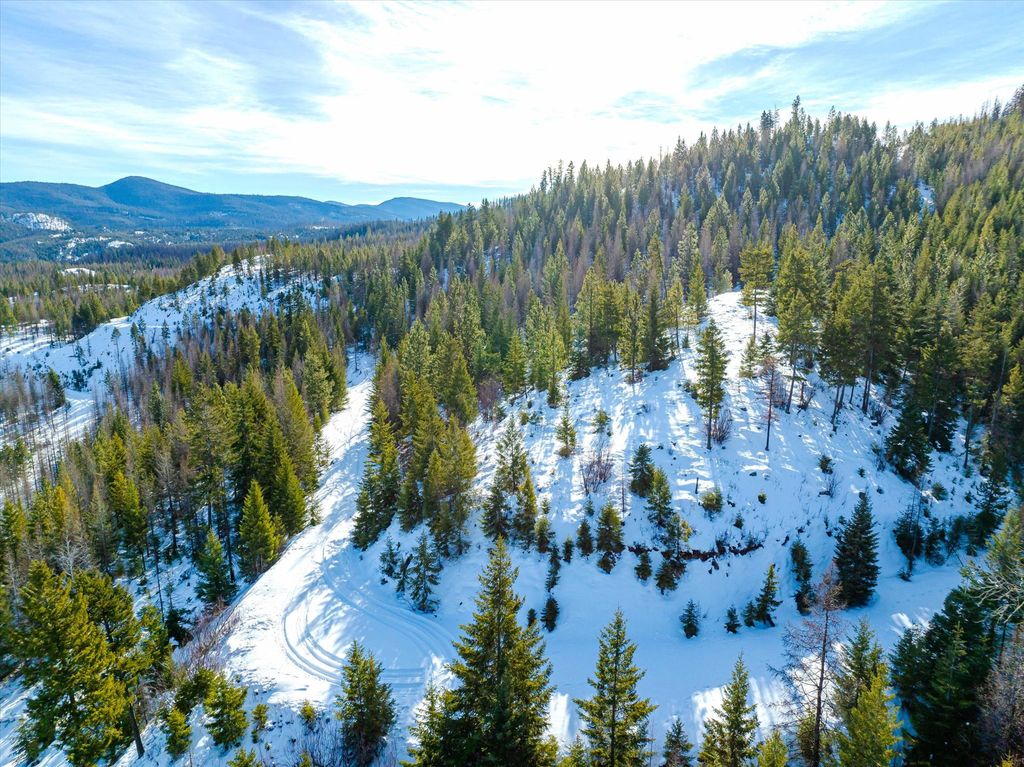 NHN McGinnis Meadows - Fishtrap Road Section 9, Libby, MT 59923 photo 39