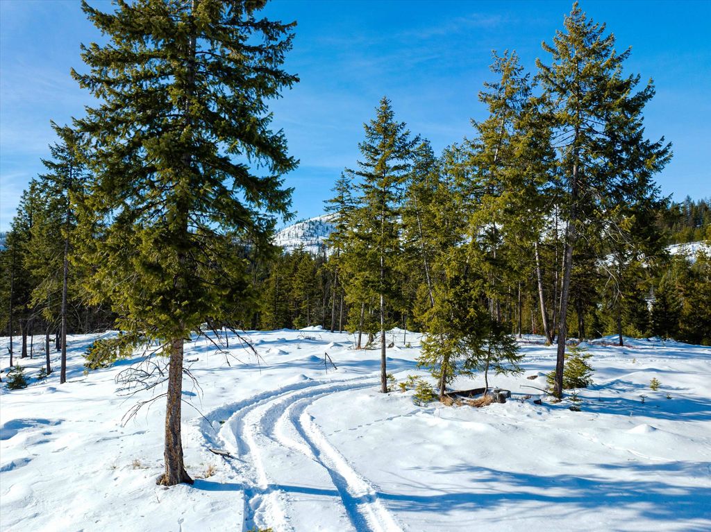 NHN McGinnis Meadows - Fishtrap Road Section 9, Libby, MT 59923 photo 4