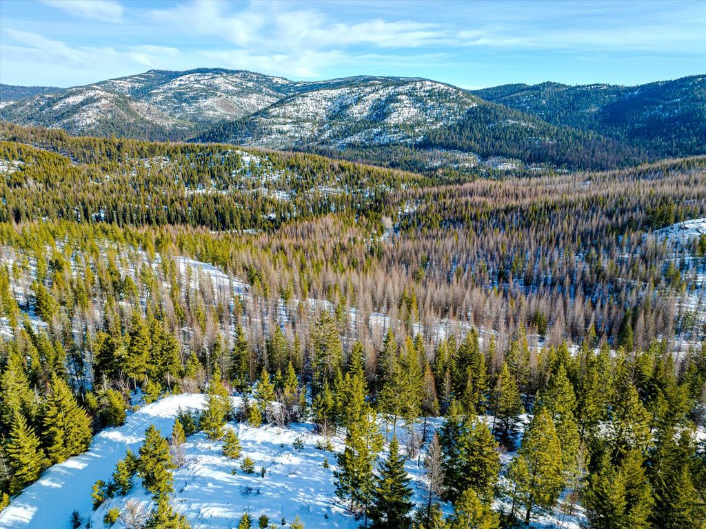 NHN McGinnis Meadows - Fishtrap Road Section 9, Libby, MT 59923 photo 40