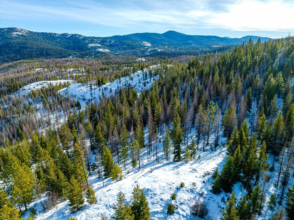 NHN McGinnis Meadows - Fishtrap Road Section 9, Libby, MT 59923 photo 41