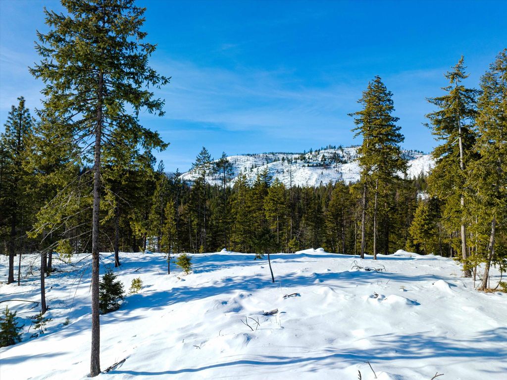 NHN McGinnis Meadows - Fishtrap Road Section 9, Libby, MT 59923 photo 5