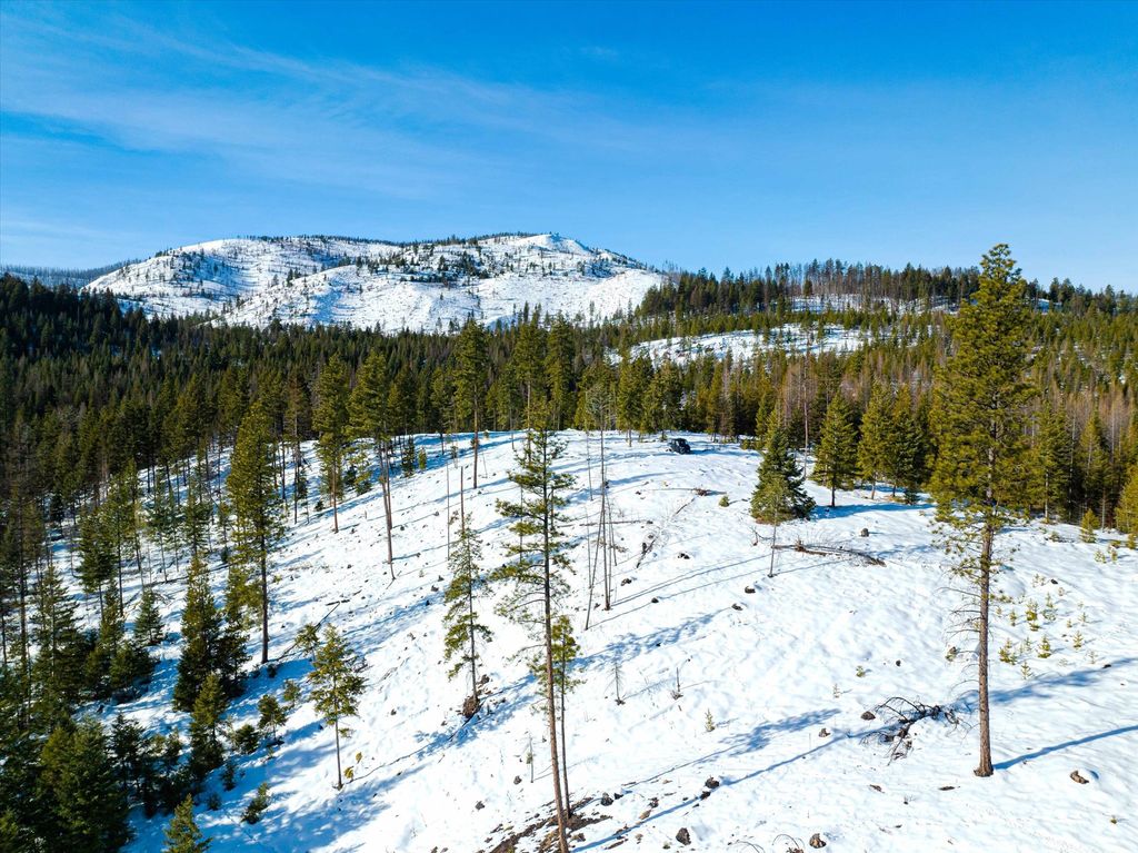 NHN McGinnis Meadows - Fishtrap Road Section 9, Libby, MT 59923 photo 7