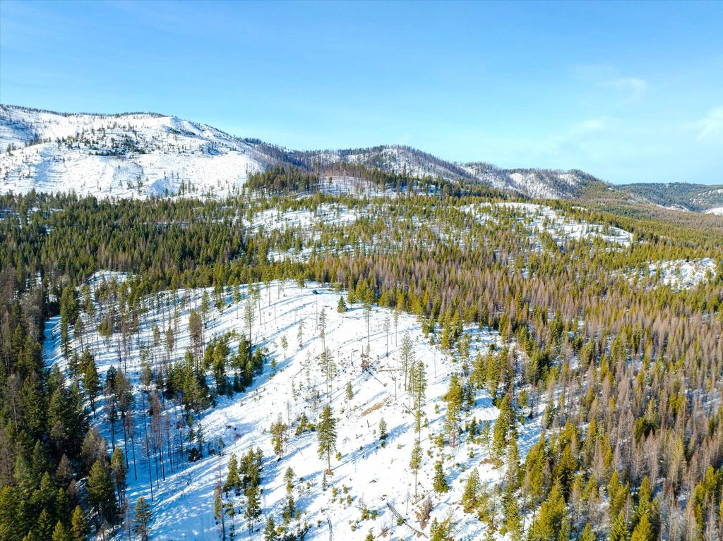 NHN McGinnis Meadows - Fishtrap Road Section 9, Libby, MT 59923 photo 8