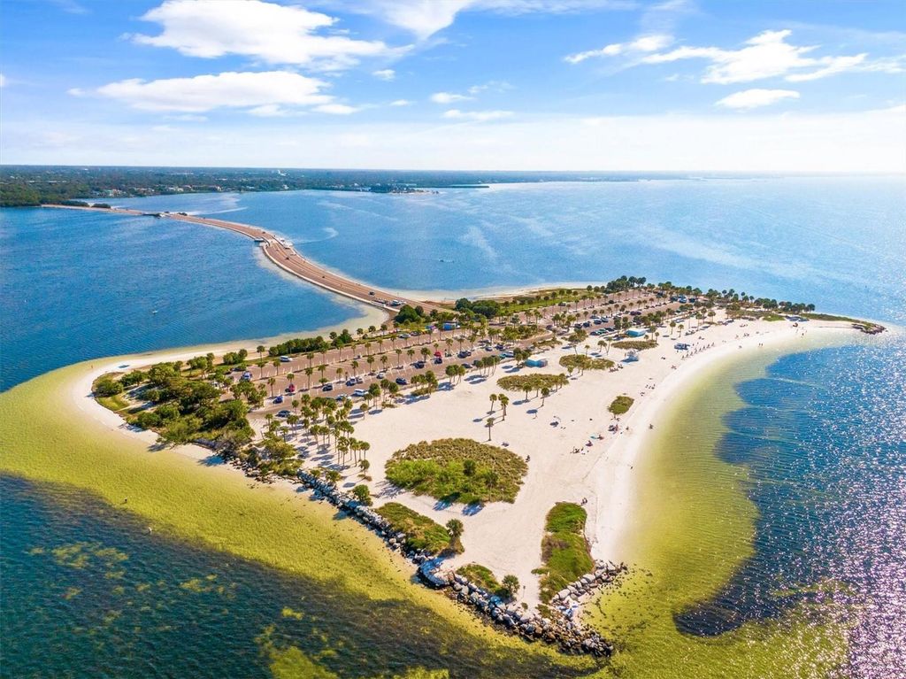 Image 54 of property listing at 328 LIAM AVENUE, Tarpon Springs, FL 34689