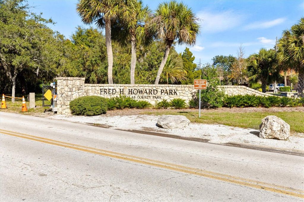 Image 55 of property listing at 328 LIAM AVENUE, Tarpon Springs, FL 34689