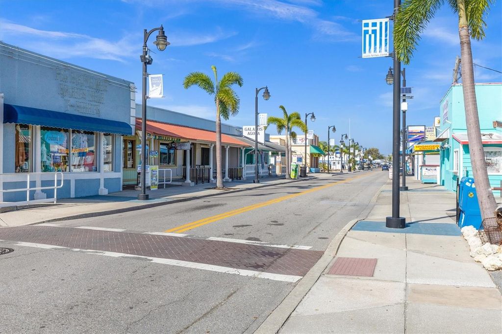 Image 57 of property listing at 328 LIAM AVENUE, Tarpon Springs, FL 34689