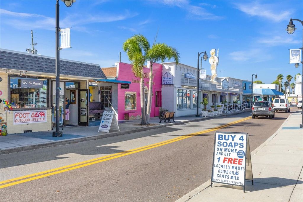 Image 58 of property listing at 328 LIAM AVENUE, Tarpon Springs, FL 34689