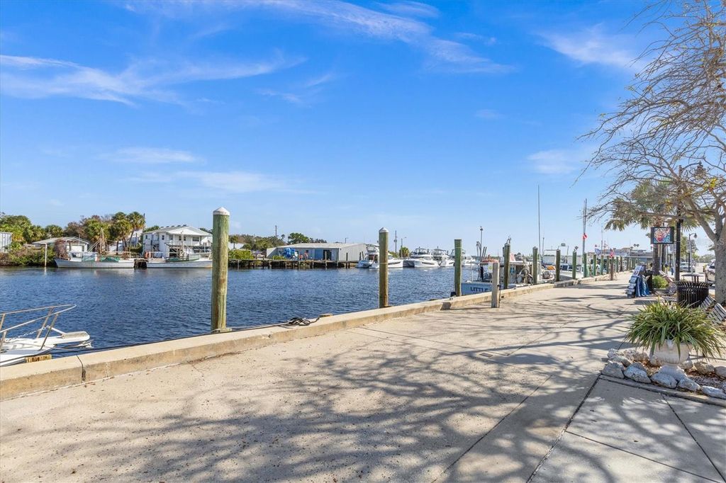 Image 59 of property listing at 328 LIAM AVENUE, Tarpon Springs, FL 34689