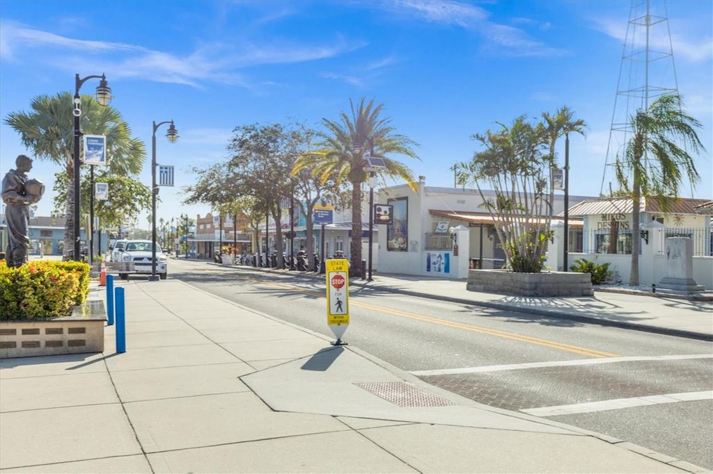 Image 60 of property listing at 328 LIAM AVENUE, Tarpon Springs, FL 34689