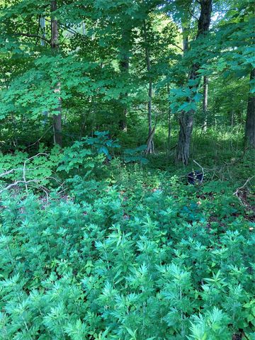 15 Adam Wagner Lane, Mahopac, NY 10541