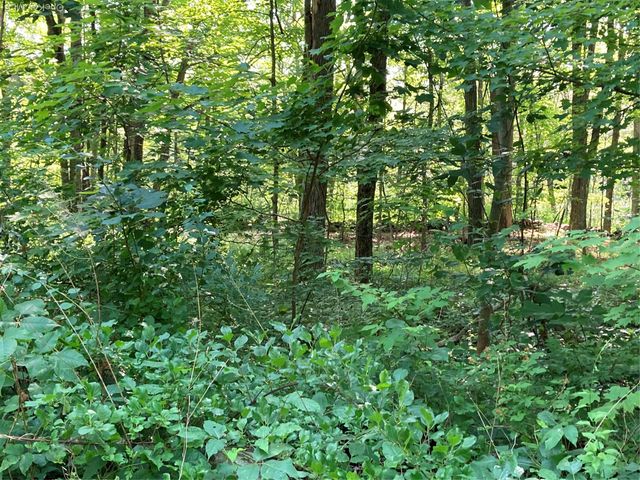 15 Adam Wagner Lane, Mahopac, NY 10541