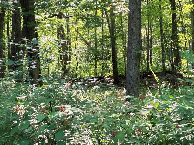 15 Adam Wagner Lane, Mahopac, NY 10541