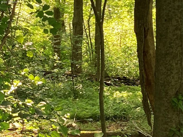 15 Adam Wagner Lane, Mahopac, NY 10541