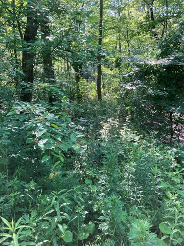 15 Adam Wagner Lane, Mahopac, NY 10541