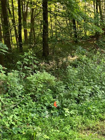 15 Adam Wagner Lane, Mahopac, NY 10541