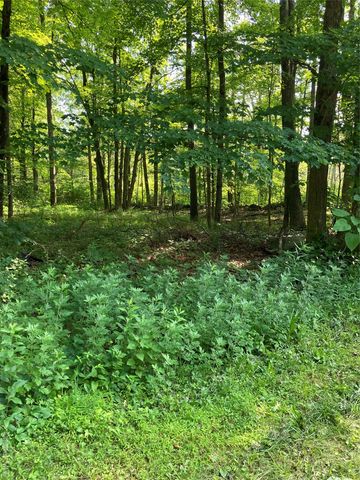 15 Adam Wagner Lane, Mahopac, NY 10541