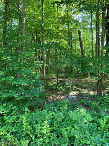 15 Adam Wagner Lane, Mahopac, NY 10541