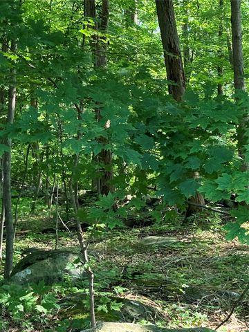 15 Adam Wagner Lane, Mahopac, NY 10541