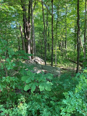 15 Adam Wagner Lane, Mahopac, NY 10541