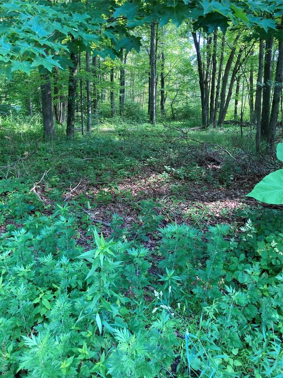 15 Adam Wagner Lane, Mahopac, NY 10541