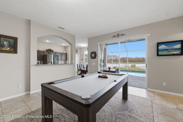 1312 Brooke View Drive, Odessa, FL 33556