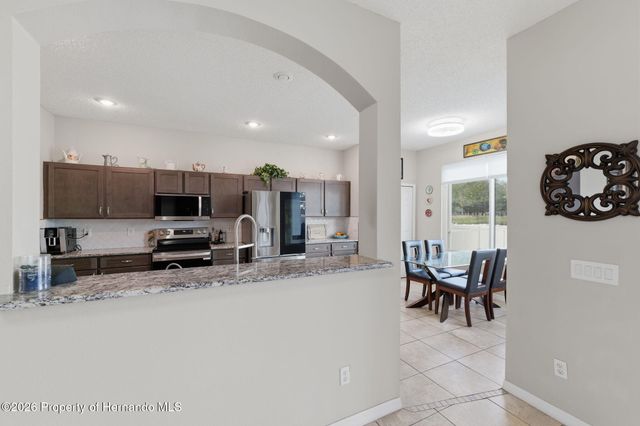 1312 Brooke View Drive, Odessa, FL 33556