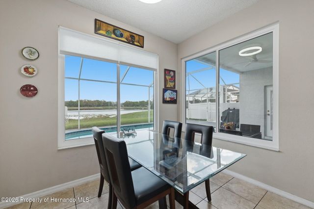 1312 Brooke View Drive, Odessa, FL 33556