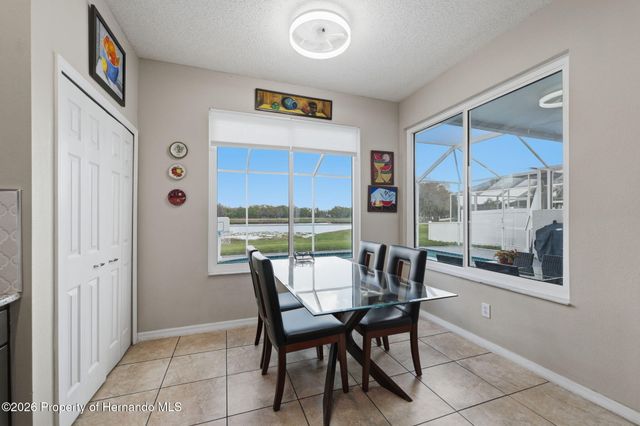 1312 Brooke View Drive, Odessa, FL 33556