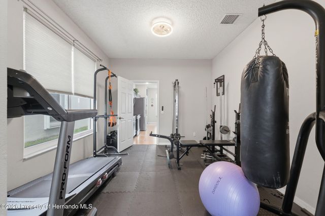 1312 Brooke View Drive, Odessa, FL 33556