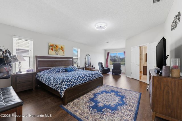 1312 Brooke View Drive, Odessa, FL 33556