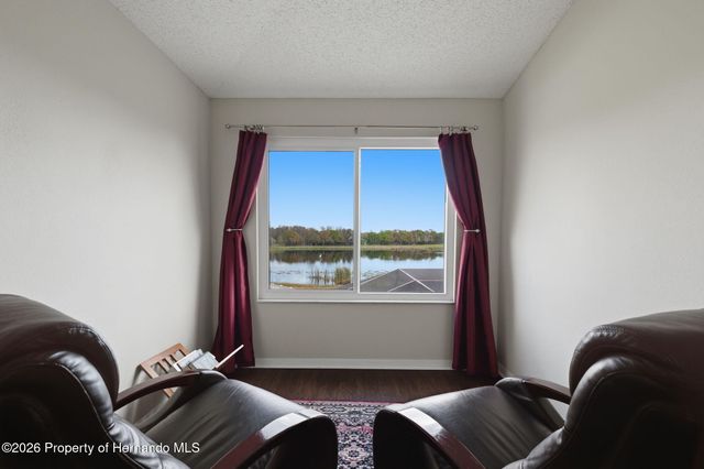 1312 Brooke View Drive, Odessa, FL 33556