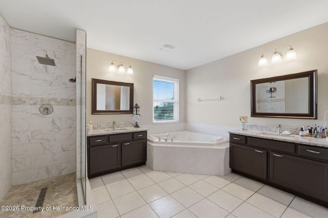 1312 Brooke View Drive, Odessa, FL 33556