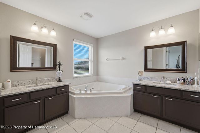 1312 Brooke View Drive, Odessa, FL 33556