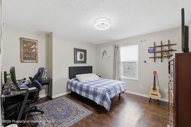 1312 Brooke View Drive, Odessa, FL 33556