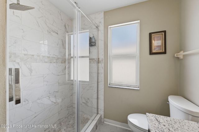 1312 Brooke View Drive, Odessa, FL 33556