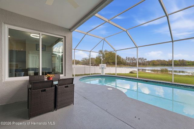 1312 Brooke View Drive, Odessa, FL 33556