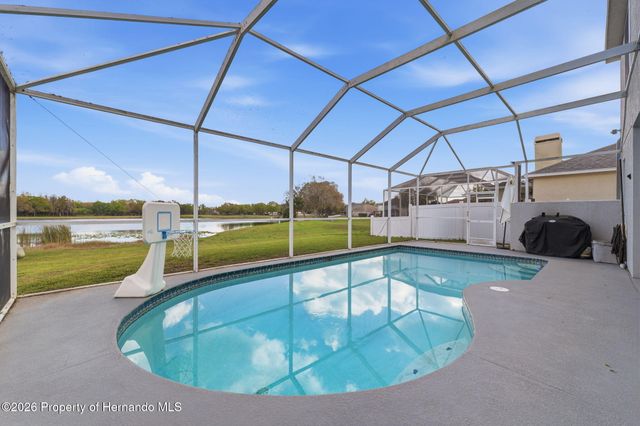 1312 Brooke View Drive, Odessa, FL 33556