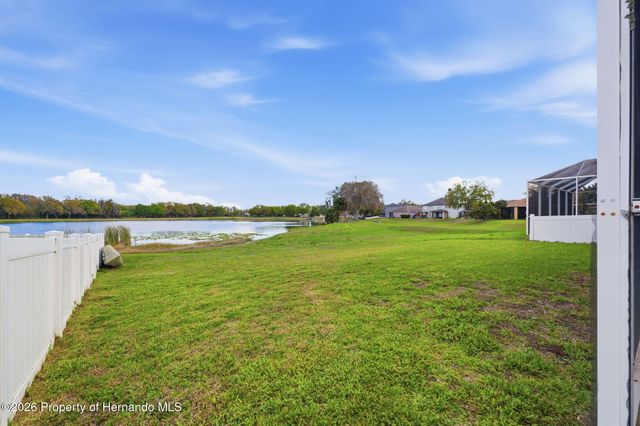 1312 Brooke View Drive, Odessa, FL 33556