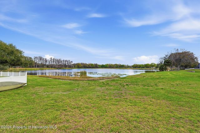 1312 Brooke View Drive, Odessa, FL 33556