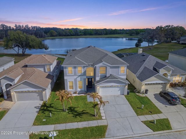 1312 Brooke View Drive, Odessa, FL 33556