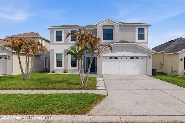 1312 Brooke View Drive, Odessa, FL 33556