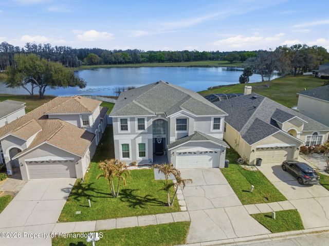 1312 Brooke View Drive, Odessa, FL 33556