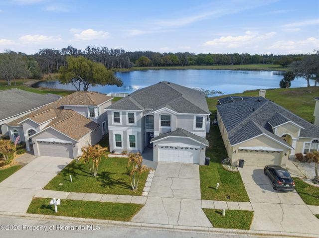 1312 Brooke View Drive, Odessa, FL 33556