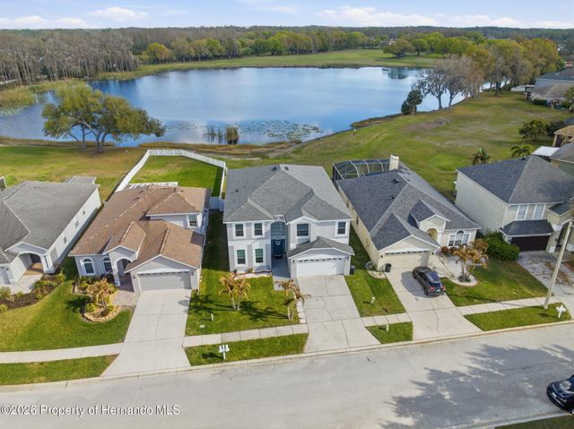 1312 Brooke View Drive, Odessa, FL 33556